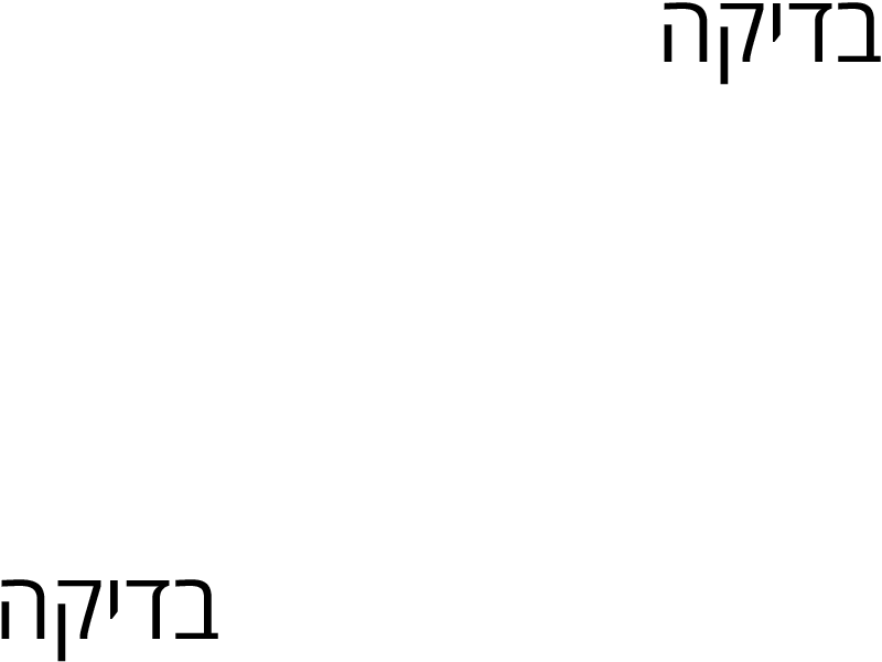 בדיקה